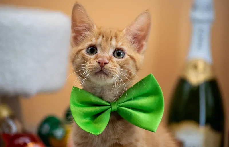 Margarita thumbnail 3