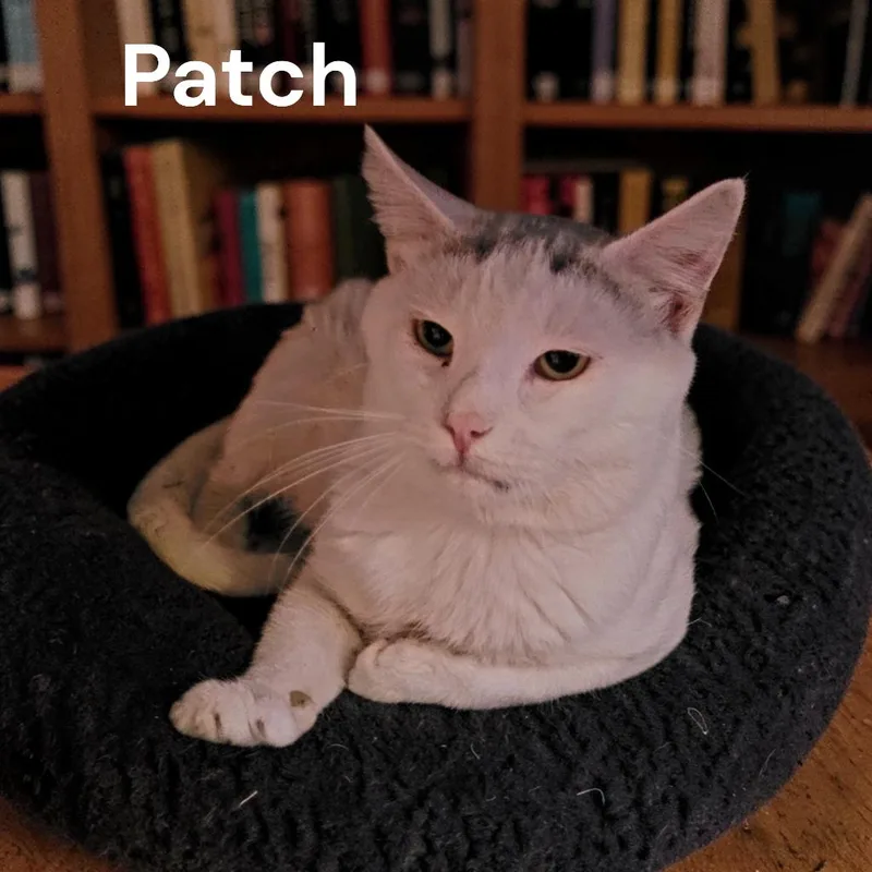 Patch thumbnail 2