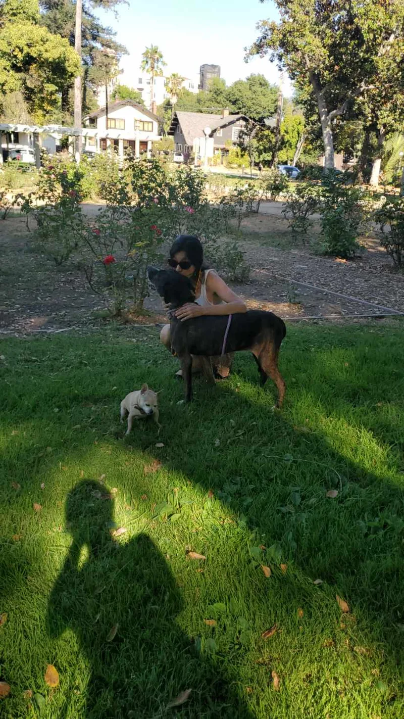 Kala Koolaid! thumbnail 2