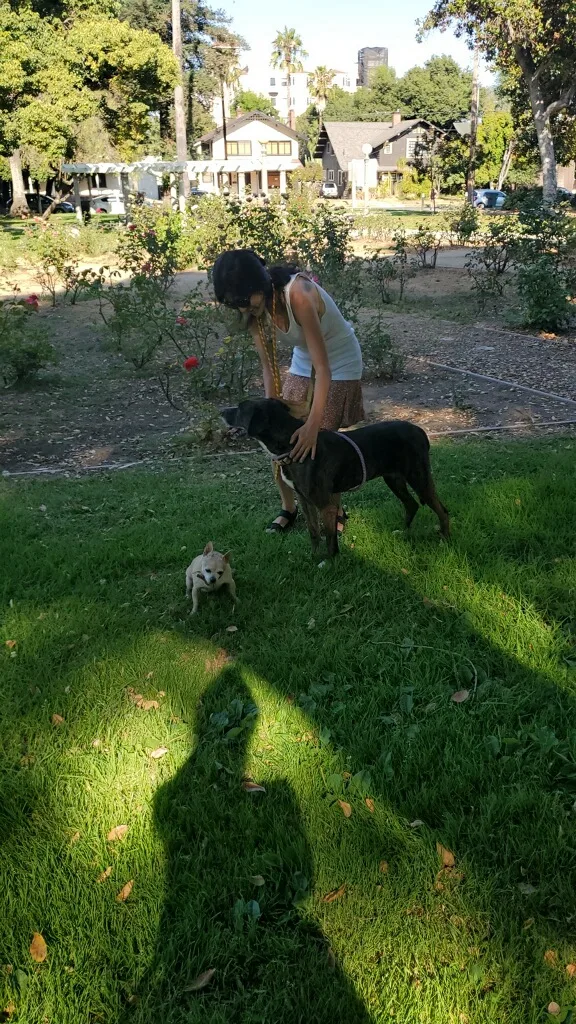 Kala Koolaid! thumbnail 3