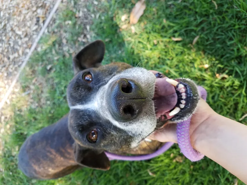 Kala Koolaid! thumbnail 6