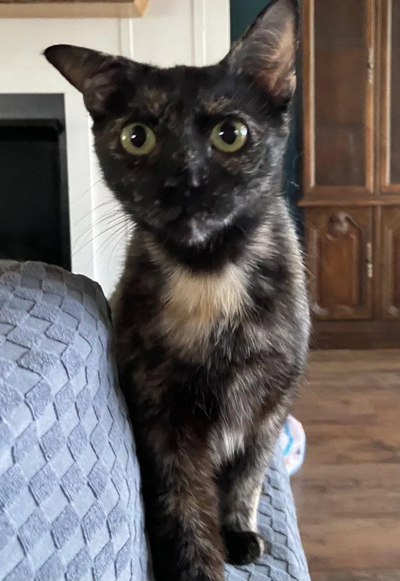 Camilla Mcacc thumbnail 4