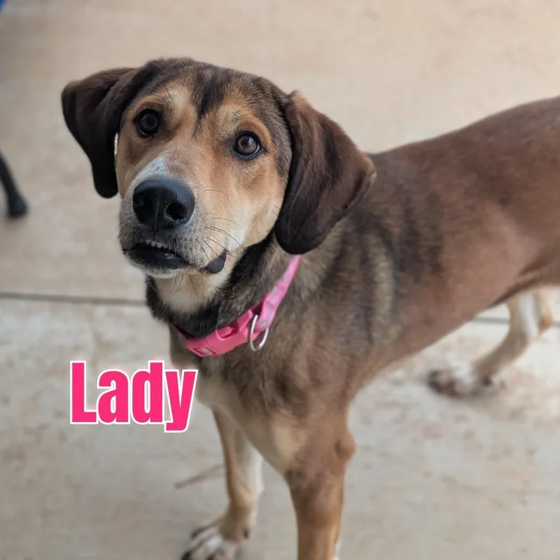 Lady thumbnail 5