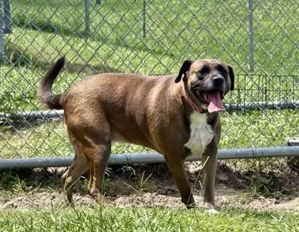 Rue