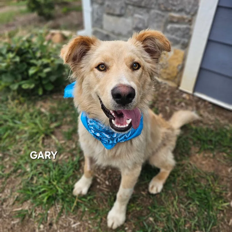 Gary Stewart thumbnail 2