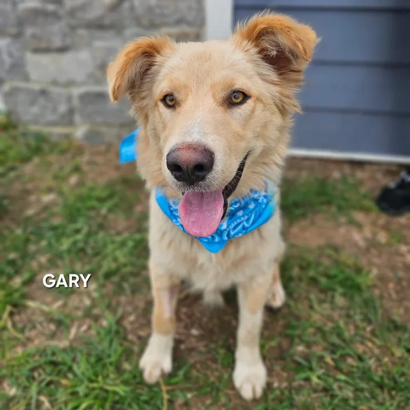 Gary Stewart thumbnail 4