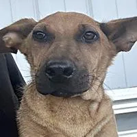 Vanessa URGENT