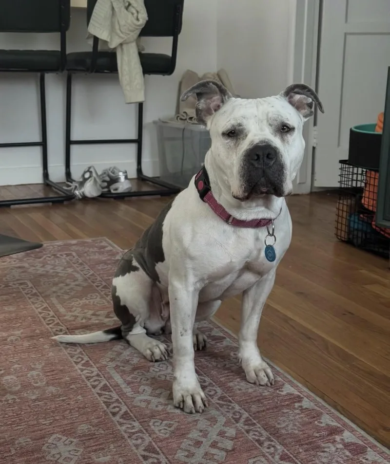 Freckles thumbnail 4