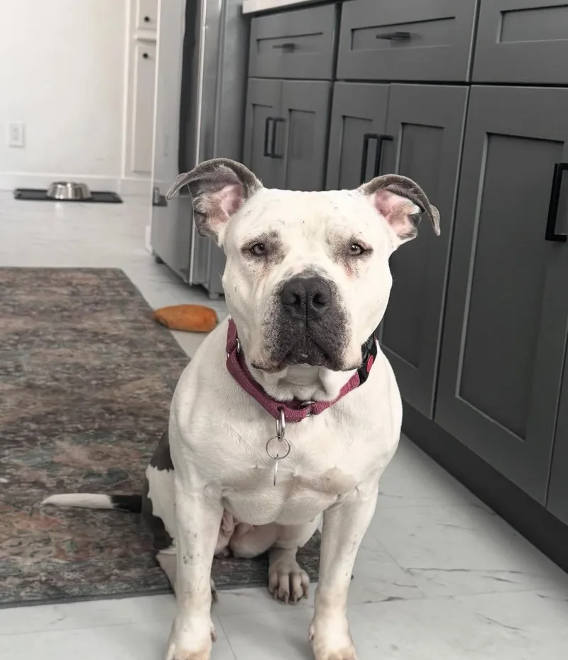 Freckles thumbnail 5