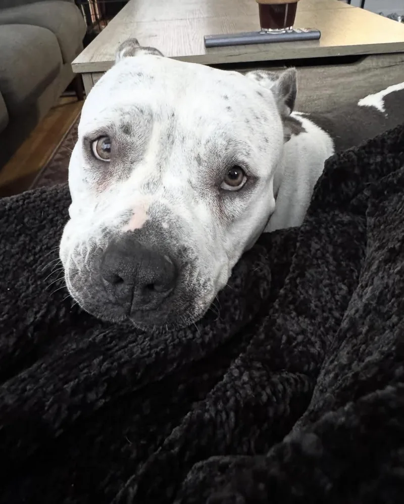 Freckles thumbnail 6