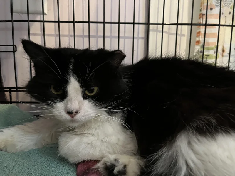 Krispy Kreme thumbnail 2