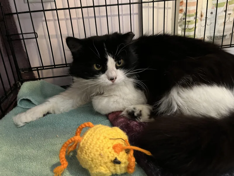 Krispy Kreme thumbnail 3