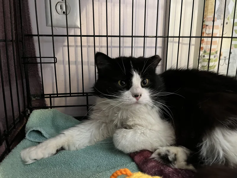 Krispy Kreme thumbnail 4