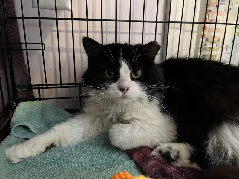 Krispy Kreme thumbnail 5