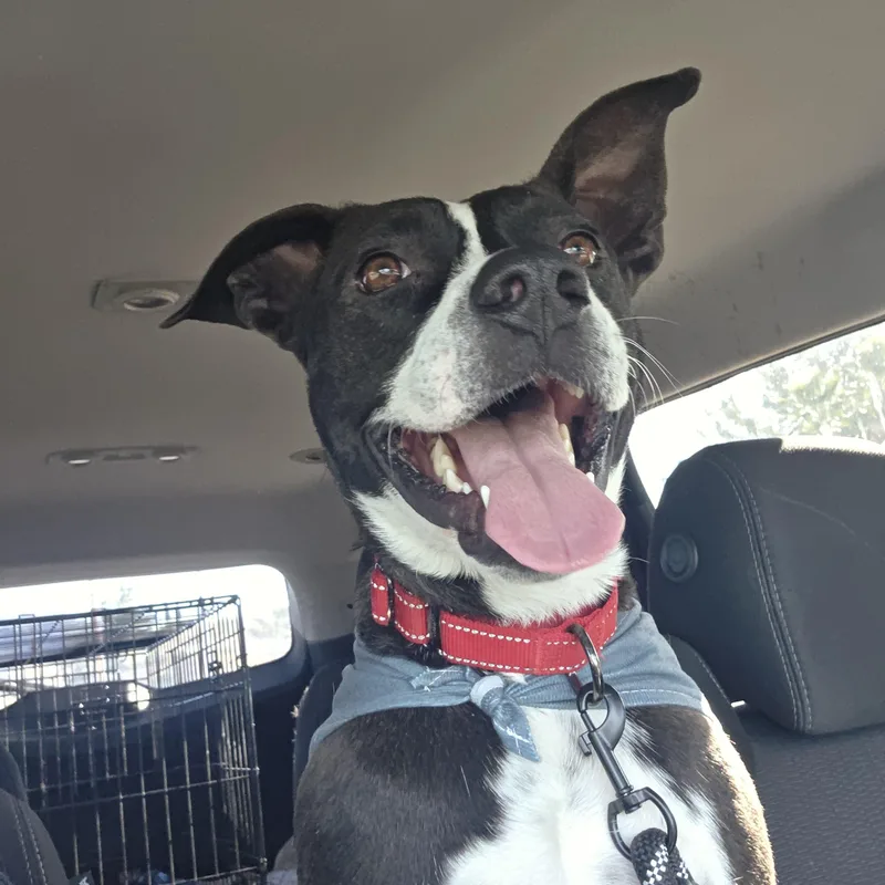 Lb Aka Mr. Bud thumbnail 2