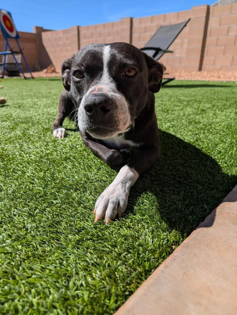 Lb Aka Mr. Bud thumbnail 3