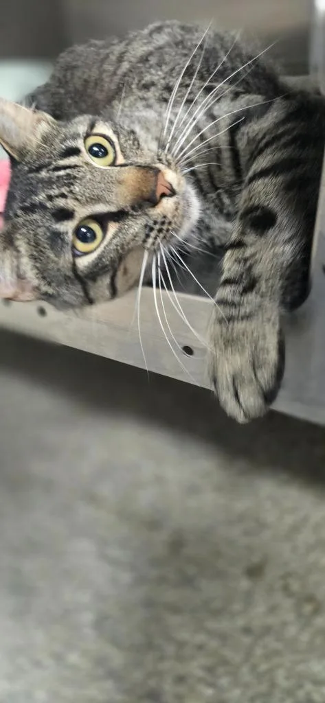 Xander thumbnail 6