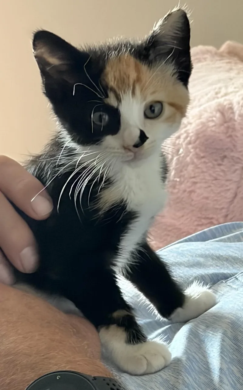 Cleo  Caira & thumbnail 5