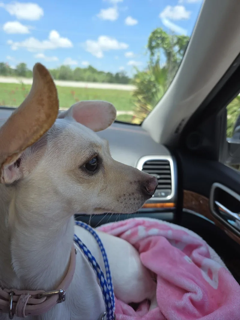Lexie thumbnail 3