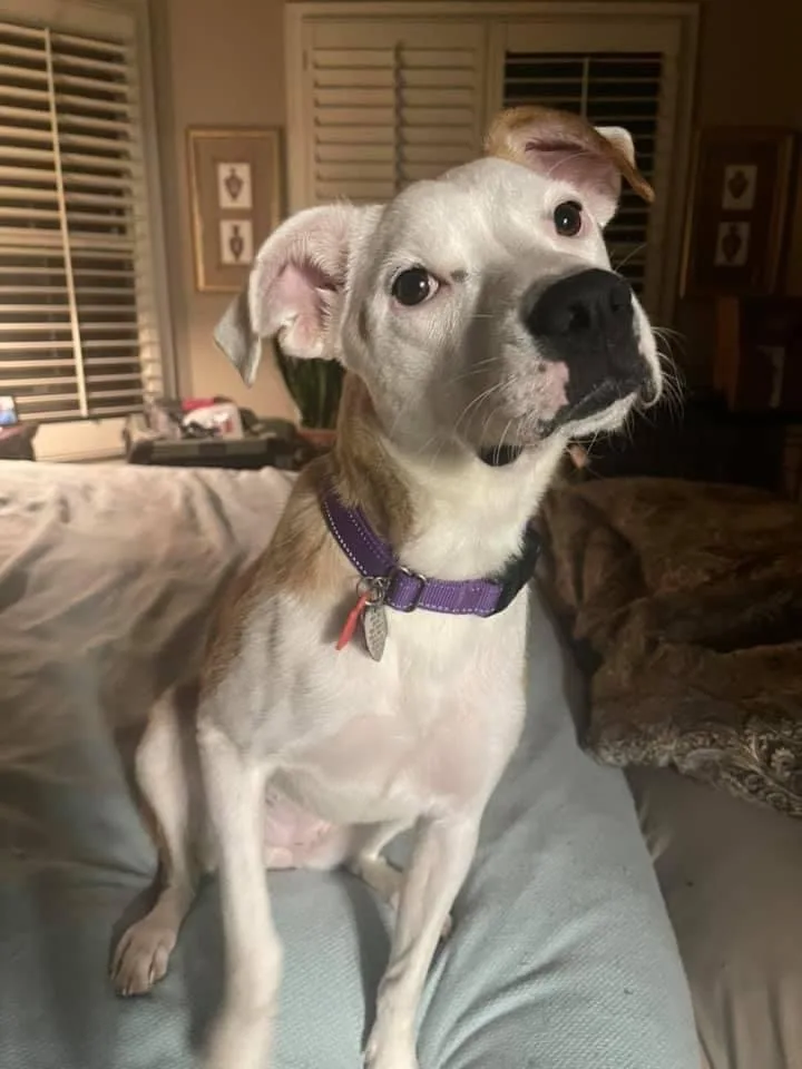 Mary Jane thumbnail 3