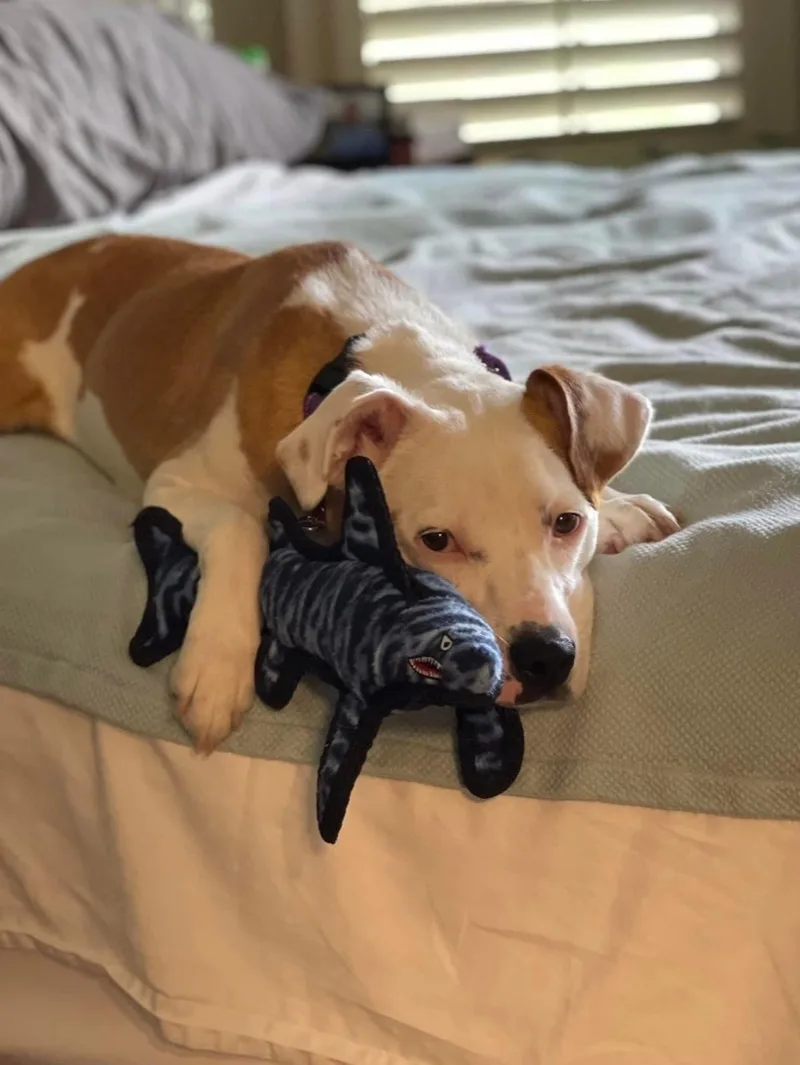 Mary Jane thumbnail 5