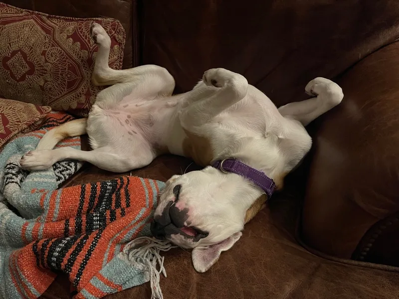 Mary Jane thumbnail 6