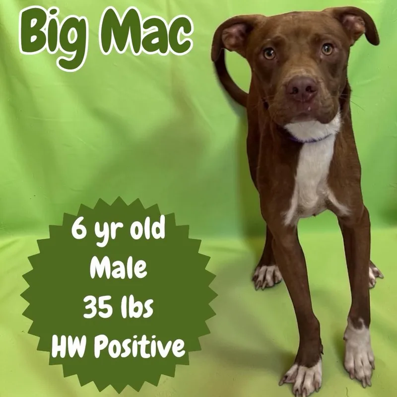 Big Mac thumbnail 2