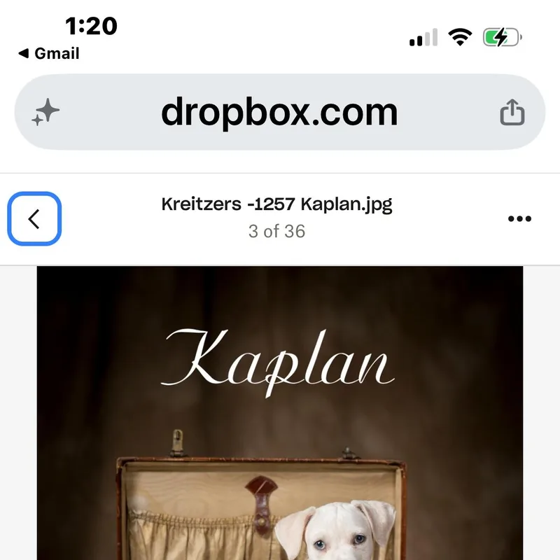 Kaplan thumbnail 2