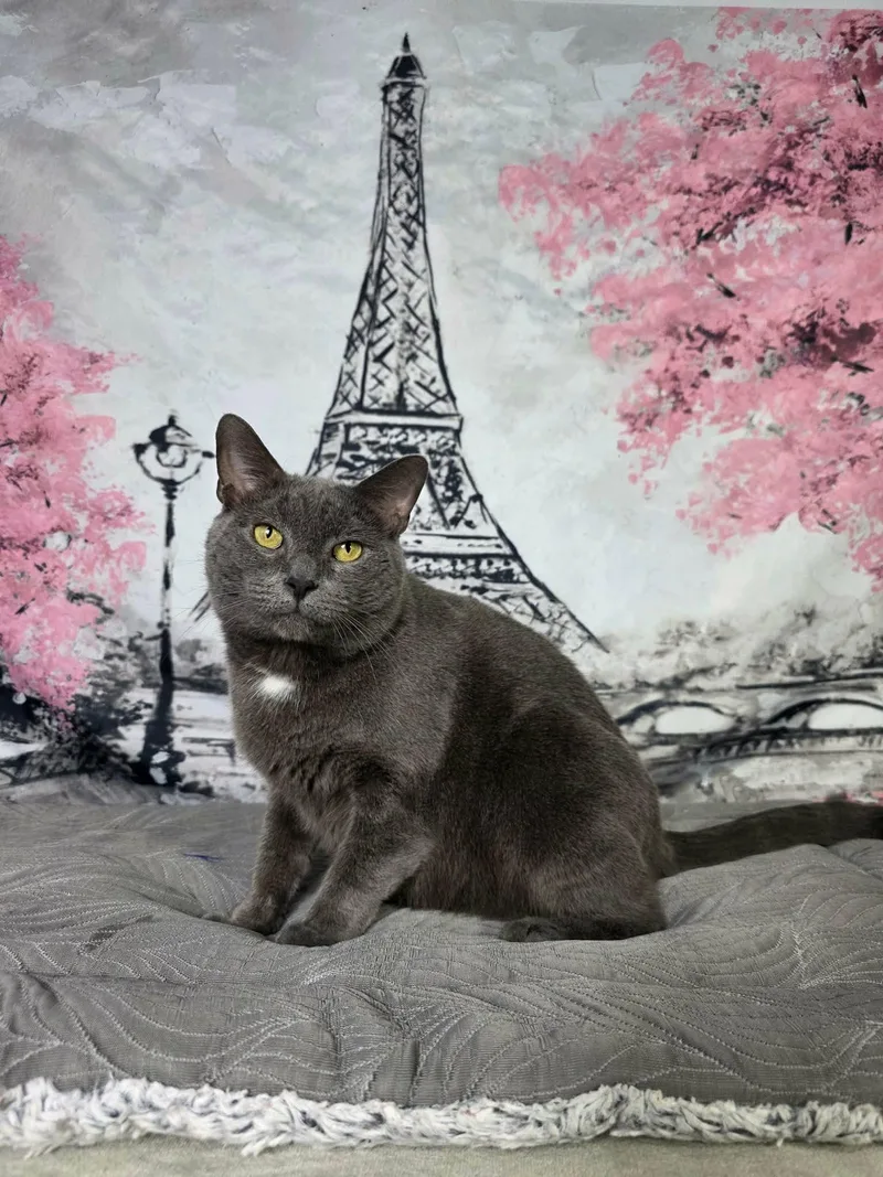 Terrance thumbnail 2