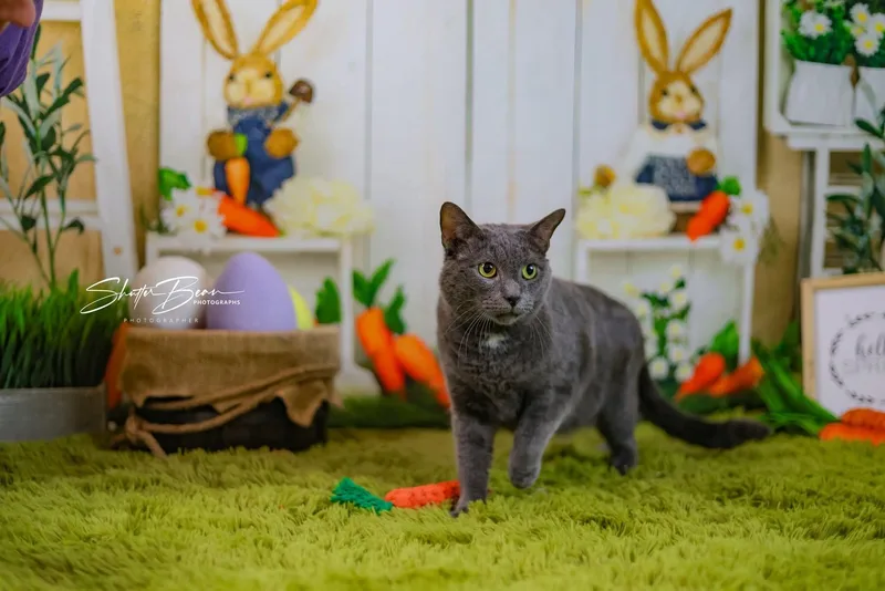 Terrance thumbnail 3