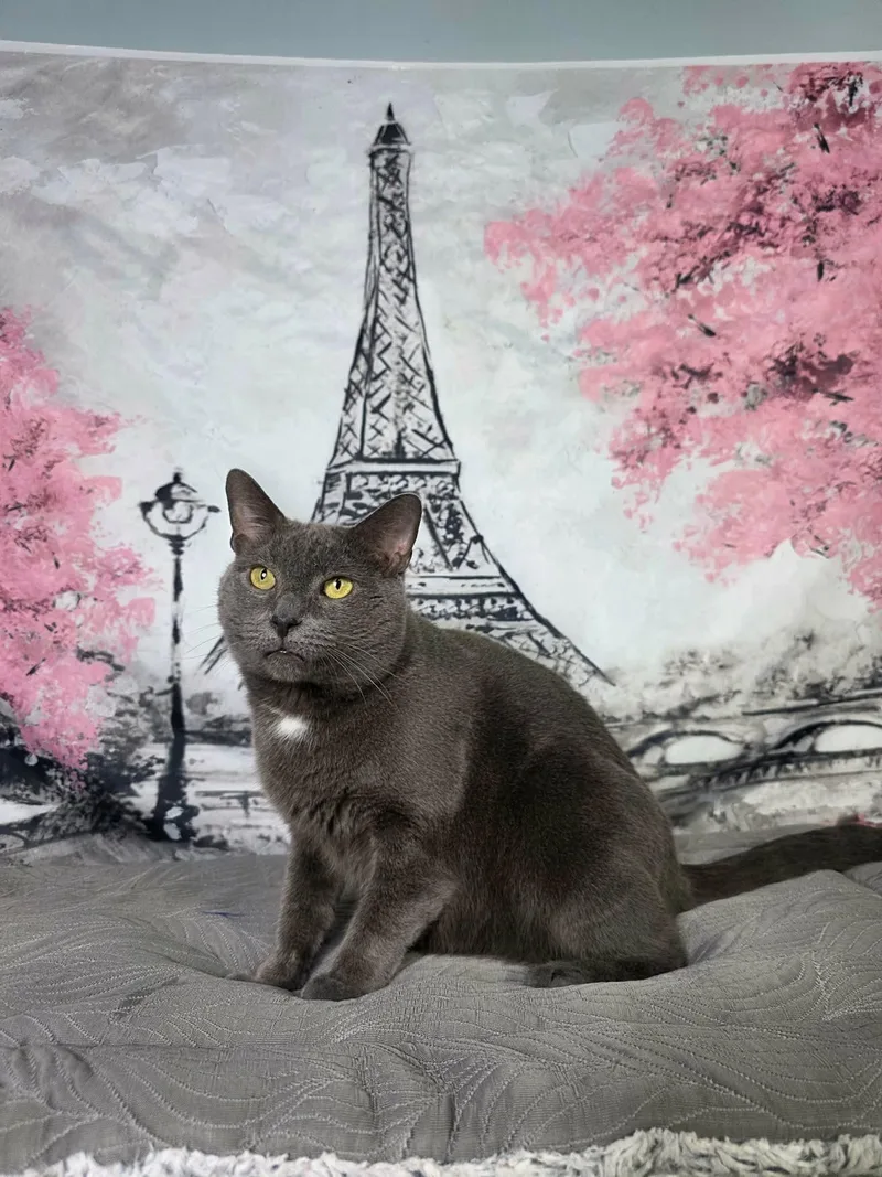 Terrance thumbnail 4