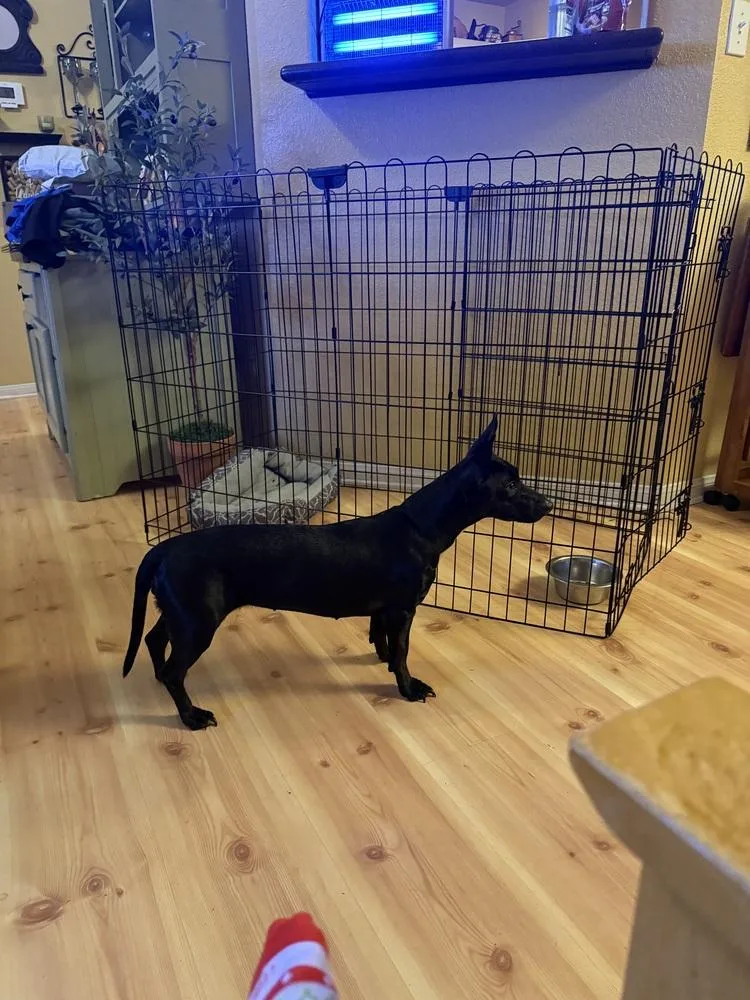 Danika 🇨🇦 💜