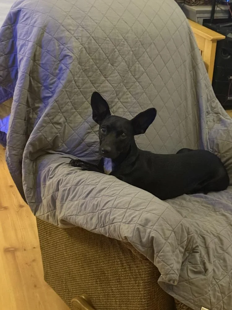 Danika 🇨🇦 💜 thumbnail 3