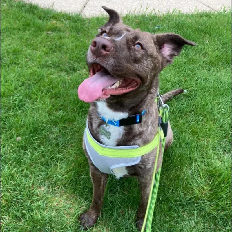 Lily Pearl thumbnail 6