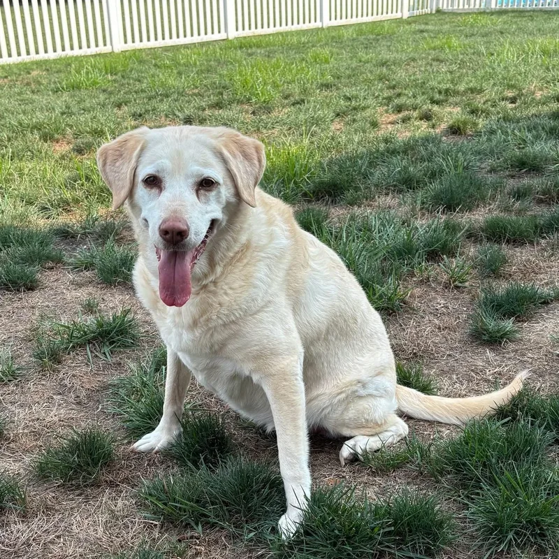 Abby thumbnail 3