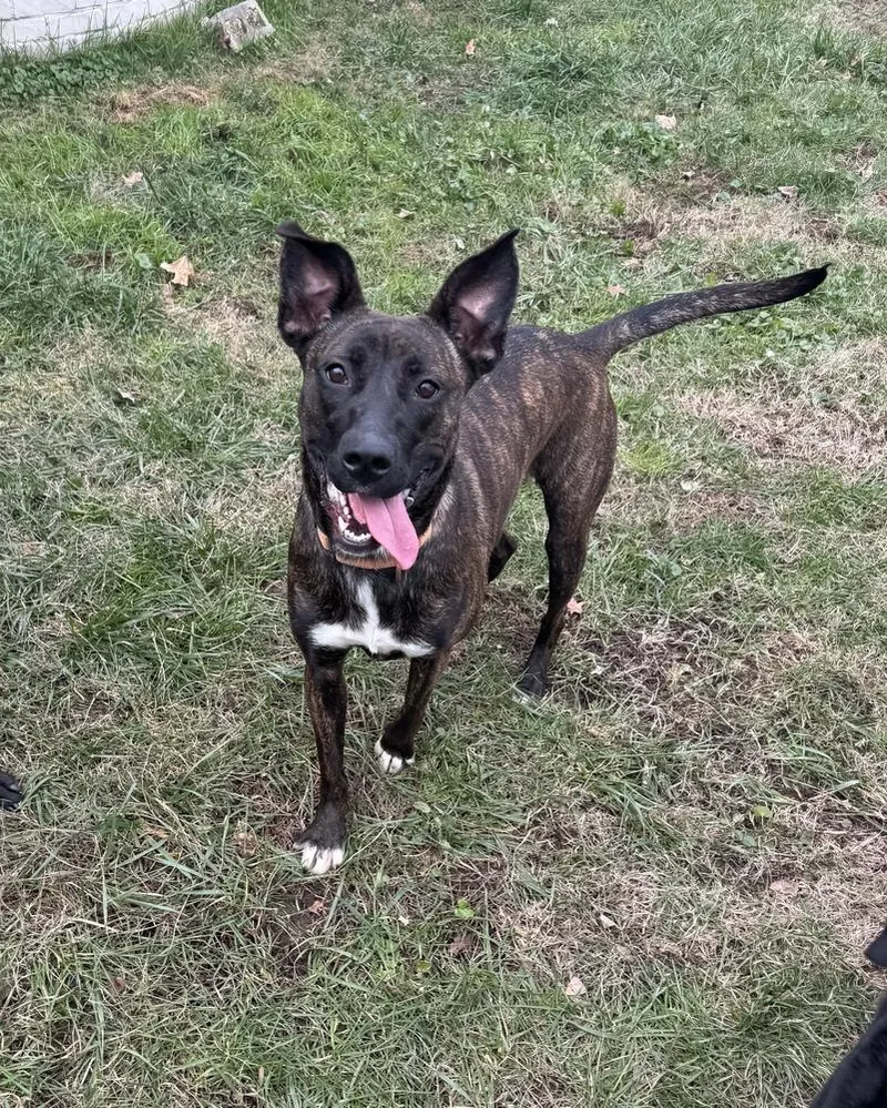 Tootsie Roll thumbnail 5