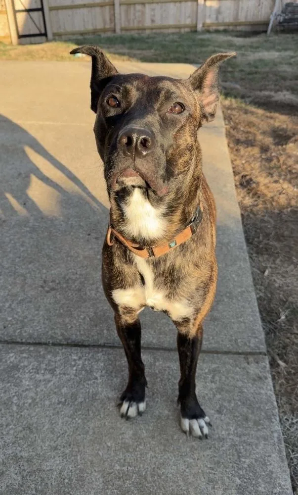 Tootsie Roll thumbnail 6