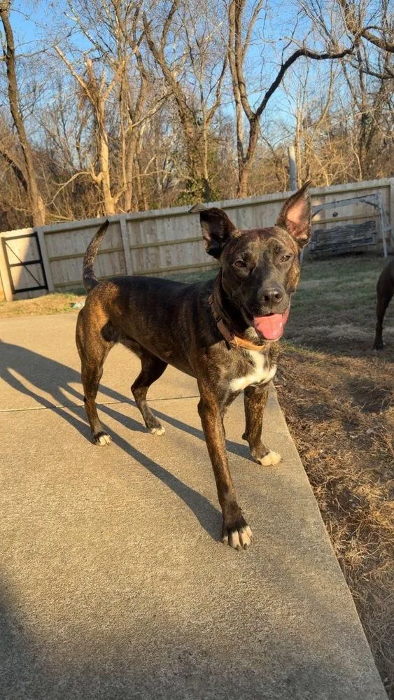 Tootsie Roll thumbnail 7