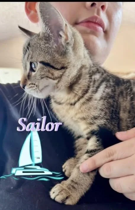 Sailor thumbnail 2