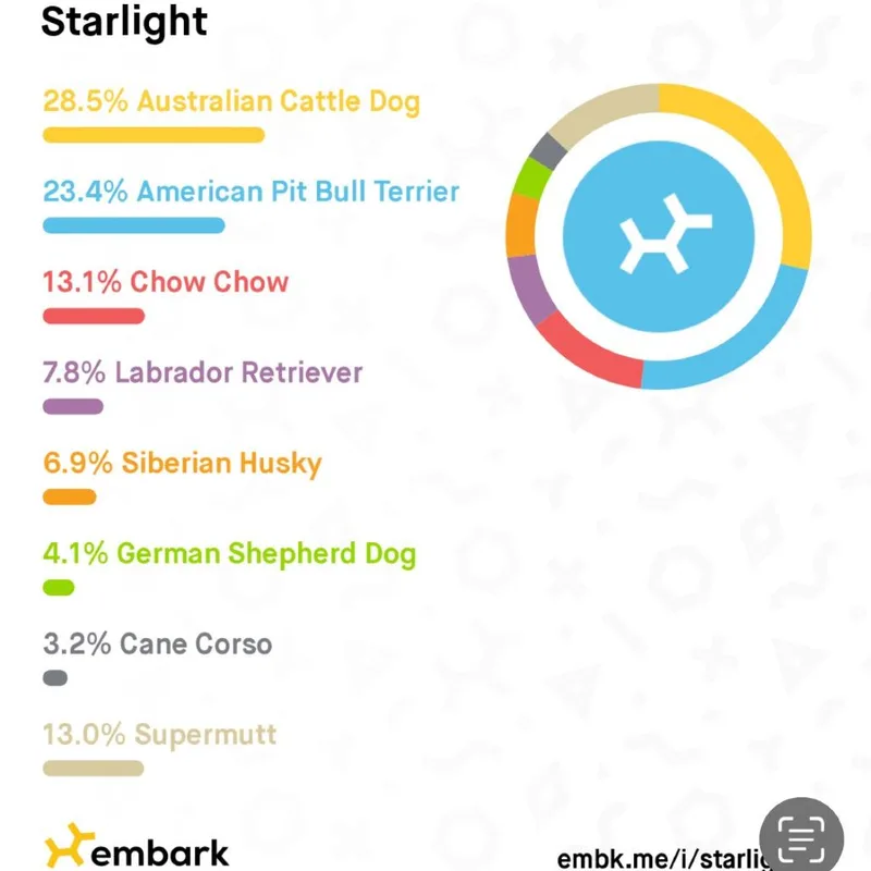 Starlight thumbnail 5