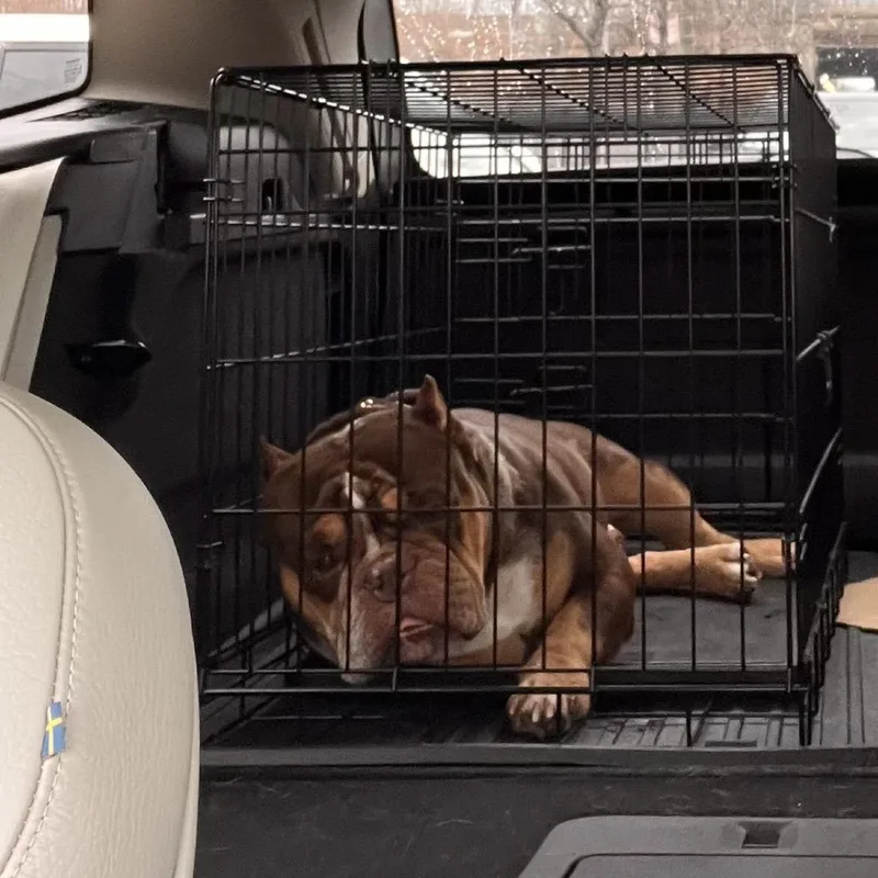 Snack Pack ~ Coming thumbnail 2