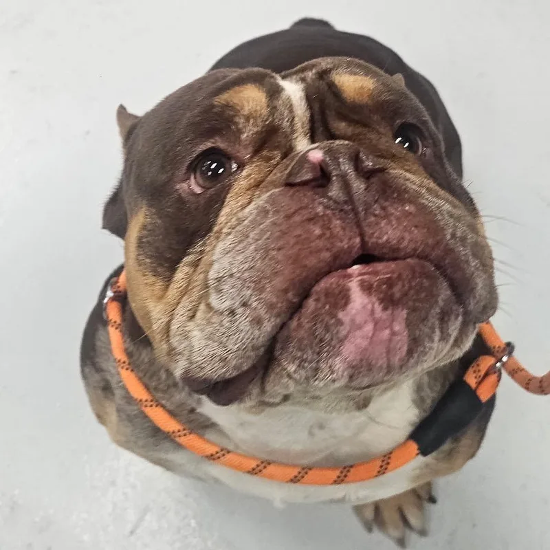 Snack Pack ~ Coming thumbnail 4