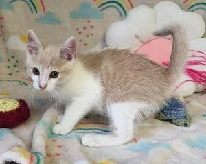 Theodore thumbnail 3