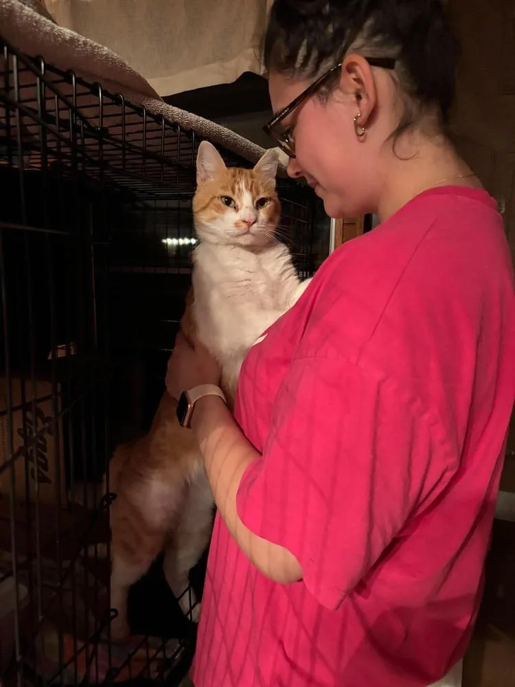 Señor Chester thumbnail 2