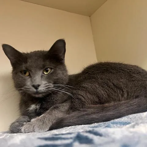 Baby Bundt thumbnail 5