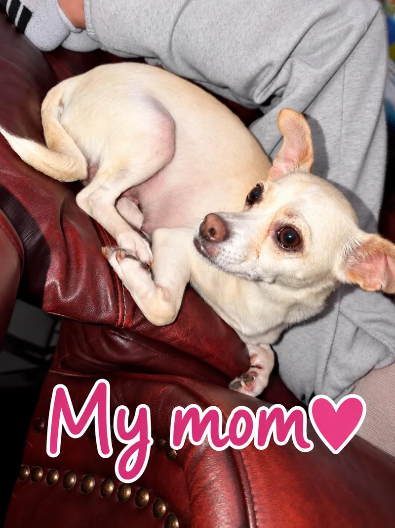 Frances thumbnail 3
