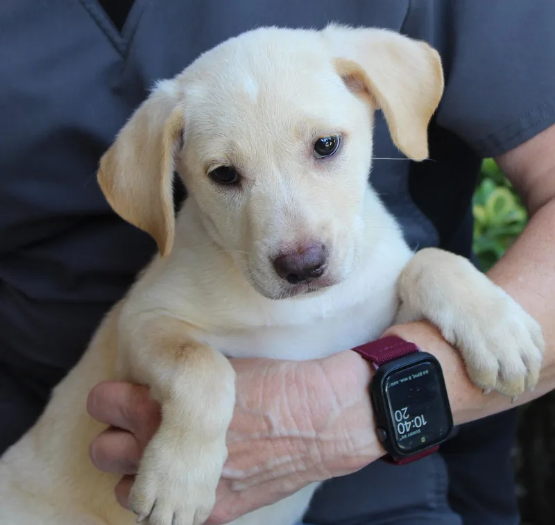 Winnie thumbnail 2