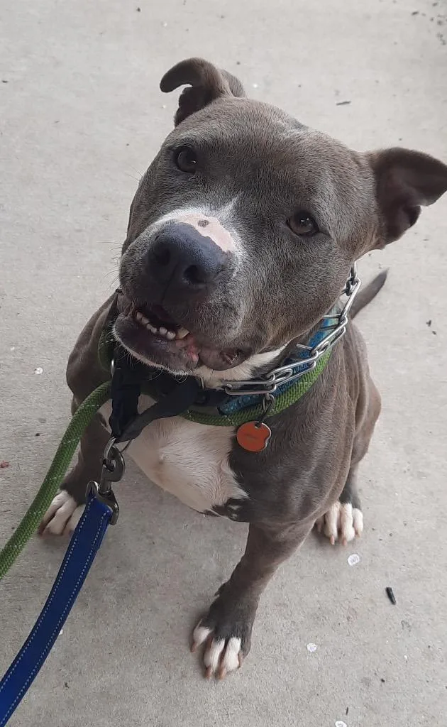 Valentine thumbnail 2