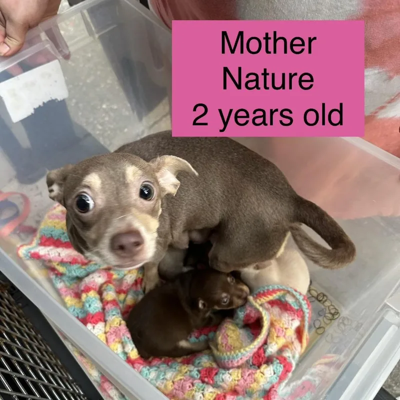 Mother Nature thumbnail 4