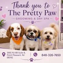 A young small-sized female Shih Tzu dog named Jessica for adoption in Union Beach, NJ